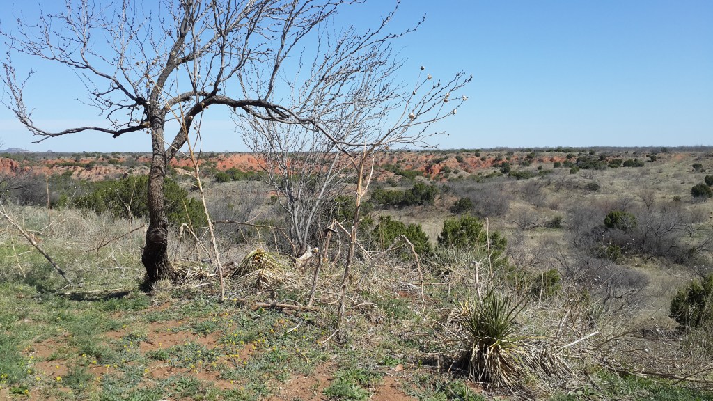 Capturing Caprock Canyon