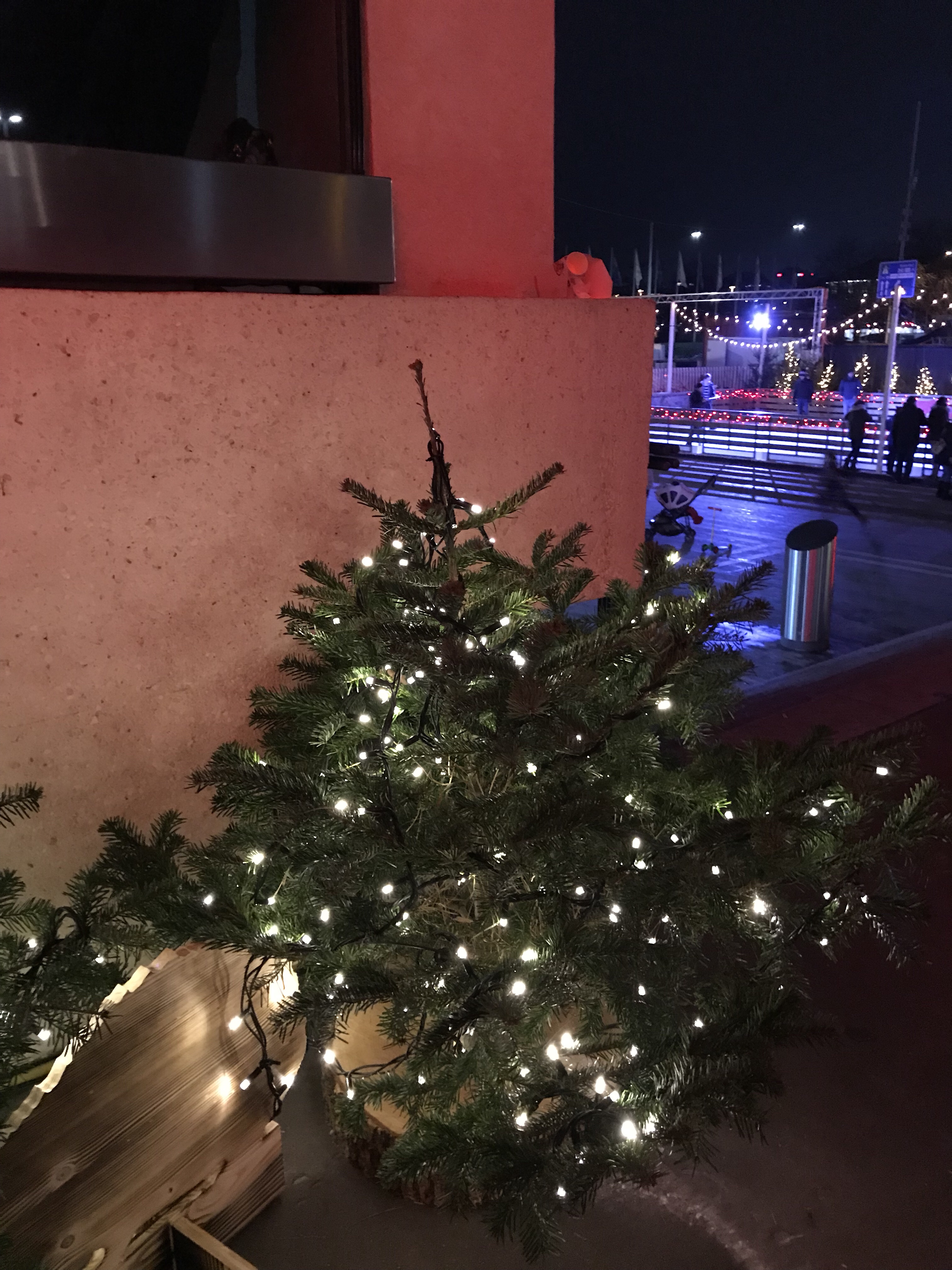 A small, lit Christmas shrub outside of the one of Zurich, Switzerland’s Christmas markets.